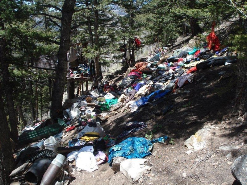 Forest trash pile